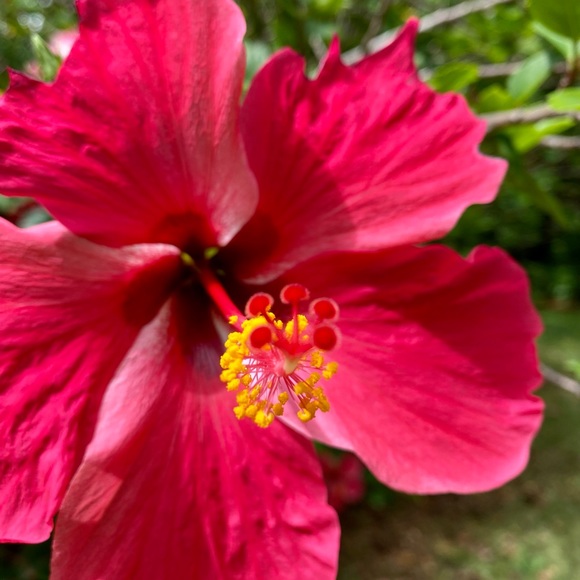 Meet your Posher, Jennifer - Picture 2 of 4